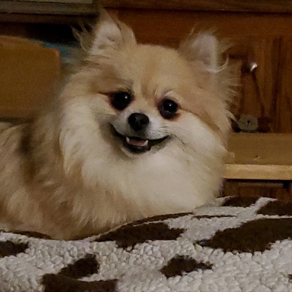 Some of my babies♡ - Picture 8 of 16